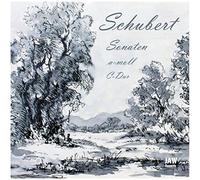 Michael Nuber (Klavier) - F. Schubert: Klaviersonaten a-moll D 784 + C-Dur D 840 "Reliquie" - Impromptu Es-Dur op. Posth. /// Michael Nuber (Pianist)
