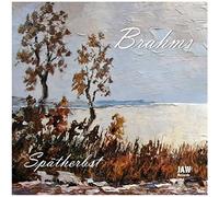 Michael Nuber (Klavier) - J. Brahms: SPÄTE KLAVIERWERKE --- Capriccio fis-moll op. 76,1 - Capriccio d-moll op. 116,1 - Intermezzo a-moll op. 116,2 - Capriccio g-moll op. 116,3 - Intermezzo E-Dur op. 116,4 - Intermezzo E-Dur op. 116,6 - Capriccio d-moll op. 116,7 - Intermezzo Es-Dur op. 117,1 - Intermezzo b-moll op. 117,2 -Intermezzo cis-moll op. 117,3 - Intermezzo A-Dur op. 118,2 - Intermezzo es-moll op. 118,6 - Intermezzo h-moll op. 119,1 - Mädchenlied h-moll (Bearbeitung: M. Nuber) op. 107,5 /// Michael Nuber (Pianist)