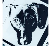 Michael Orchestra Leonhart - Denial (Original Soundtrack) [7-Inch Single]