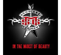 Michael Schenker - In the Midst Of Beauty