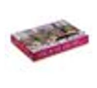 Galison Puzzle Michael Storrings – Spring on Park Avenue – 1000 pièces – G