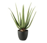 MichaelNoll Plante artificielle Aloe Vera - Décoration en pot noir - Très réaliste - Vert (55 cm - MN-KP-2219)