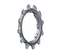 Miche Pignon Campagnolo 8-9s First