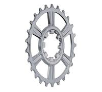 Miche Pignon Supertype 10s Campagnolo Last Position