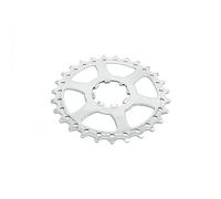 Miche Pignone Ultima Posizione 10v Campagnolo 29 Denti