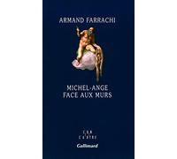 Michel-Ange face aux murs