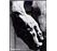 Michel-Ange Peinture, sculpture, architecture - Ludwig Goldscheider - Phaidon France - broché - Beau livre