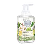 Michel Design Works FOA388 Mousse de savon Rosmary Mararita avec beurre de karité et aloe vera dans distributeur à pompe 530 ml