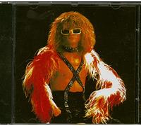 Michel Polnareff