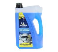MICHELIN 009290 Expert Lave-Glace Dégivrant-30°C 4L