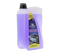 Michelin Lave-glace 009291 Hiver -20°C - 4 L