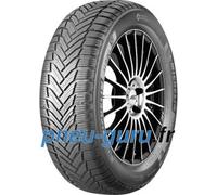 Michelin Alpin 6 ZP ( 205/45 R17 88V XL, runflat )