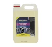 MICHELIN Expert 009153 Nettoyant Jantes et Enjoliveurs. Dégraissant Roues Voiture, 5 litres
