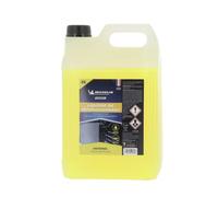MICHELIN Expert 009356 Liquide De Refroidissement Universel, Tous Moteurs, 5 litres