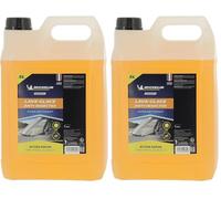 MICHELIN Expert 009359 Lave-Glace été, Anti-Insectes, 5 litres (Lot de 2)