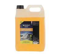 MICHELIN Expert Lave-Glace Été Anti-Insectes 5 L