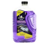 MICHELIN Expert Lave-Glace Toutes Saisons -20°C Anti-Insectes 5 L