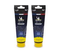 MICHELIN - Lot de 2 Tubes de Graisse au Lithium 100gr - Lubrification Haute Performance - Parfait pour Roulements, Boîtier, Tige de Selle, Direction - Graisse Verte Longue Durée - Entretien Mécanique