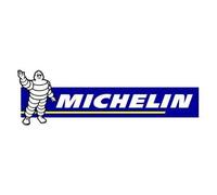 Michelin Pompe à pied 7 bar - 9501