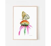 Michelle Dujardin Impression A4 d'un Papillon du Cap impérial