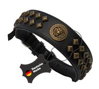 MICHUR Diego Collier de Chien Noir avec Clous Plats tête de Lion en Laiton Aklt doré de différentes Tailles