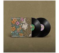 Mick Flannery - Goodtime Charlie [Vinyl Lp]