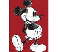 Mickey Mouse Toile Imprimée 60 x 80 cm (Retro)