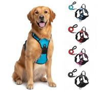 Micmetago Harnais Anti-Traction pour Chien, Solution économique et Durable, Harnais réglable rembourré avec Attache Frontale, idéal pour Dressage, promenades Quotidiennes et sécurité (Blau,S)