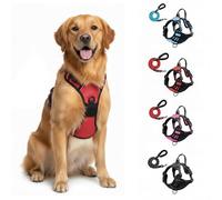 Micmetago Harnais Anti-Traction pour Chien, Solution économique et Durable, Harnais réglable rembourré avec Attache Frontale, idéal pour Dressage, promenades Quotidiennes et sécurité (Grey,M)