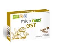 Mico NEO | GST | Curcuma, reihi, crinière de lion et shiitake | Anti-inflammatoire et antibactérien | Halal et Kosher | Convient aux végétariens | 60 capsules | Prendre 1 ou 2 comprimés par jour