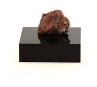 MICRITE - Pierre Naturelle en Provenance d'Italie, Italie - Roche Calcaire Multicolore, Origine Italienne, 7.9 ct - Certificat d'Authenticité Inclus 16 x 13 x 9 mm Multicolore G