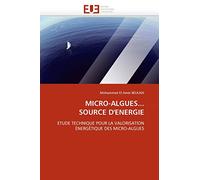 MICRO-ALGUES... SOURCE D'ENERGIE: ETUDE TECHNIQUE POUR LA VALORISATION ÉNERGÉTIQUE DES MICRO-ALGUES