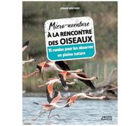 Micro-Aventure À La Rencontre Des Oiseaux - 15 Randos Pour Les Observer En Pleine Nature