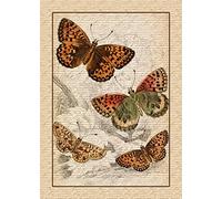 Micro casse-tête - Chiens jouant au poker - MA-M2325