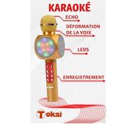 Micro enceinte karaoké avec lumières LED