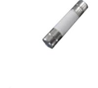 Micro-fusible Belfuse 5HT 250-R 250 mA 250 V 100 pc(s) Bulk