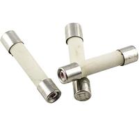 Micro-fusible ESKA 527.27 (Ø x L) 5 mm x 25 mm 10 A 250 V rapide -F- 10 pc(s)