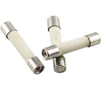 Micro-fusible ESKA 527.27 (Ø x L) 5 mm x 25 mm 10 A 250 V rapide -F- 10 pc(s)
