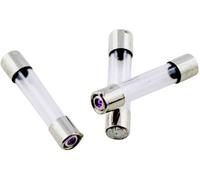Micro-fusible ESKA 528.019 (Ø x L) 5 mm x 25 mm 1.6 A 250 V semi-temporisé -mT- 10 pc(s)