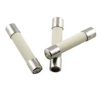 Micro-fusible ESKA 528.27 (Ø x L) 5 mm x 25 mm 10 A 250 V semi-temporisé -mT-