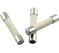 Micro-fusible ESKA 528.27 (Ø x L) 5 mm x 25 mm 10 A 250 V semi-temporisé -mT- 10 pc(s)