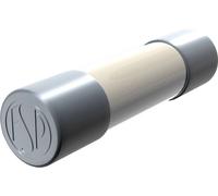 Micro-fusible Püschel Feinsicherungen FST10,0A (Ø x L) 5 mm x 20 mm 10 A 250 V temporisé -T- 10 pc(s
