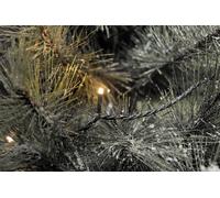 Micro guirlande lumineuse pour l'intérieur/extérieur Konstsmide 3645-800 LED N/A 1 pc(s)