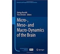 Micro-, Meso- And Macro-Dynamics Of The Brain