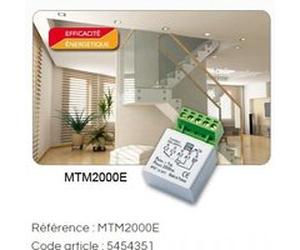 Micro-module minuterie encastré MTM2000E - 2000W G