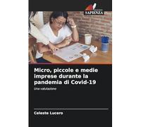 Micro, piccole e medie imprese durante la pandemia di Covid-19: Una valutazione