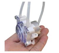 Micro pompe à eau liquide à engrenages DC 6V-12V, petite pompe à eau à dosage à engrenages 500 for laboratoire Rapide et sensible