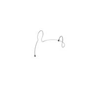 Rode Fixation Lav-Headset – Large