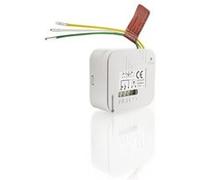 Micro-récepteur Somfy 2401161 éclairage G