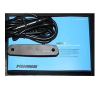 Micro rosace passif guitare folk - Fishman